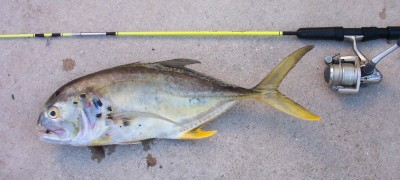 saltwater_license01.jpg